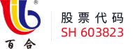 亿万先生集团股份有限公司