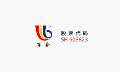 亿万先生集团股份有限公司 关于对外投资暨内蒙古源晟制钠科技有限公司项目的进展公告
